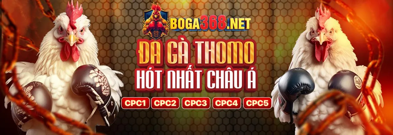 Hỗ trợ khách hàng da ga truc tiep c2 tận tình 24/7