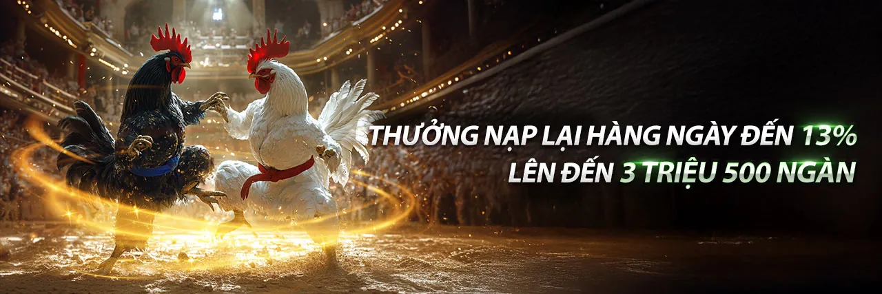 Đá gà trực tiếp C2 tại đấu trường Thomo